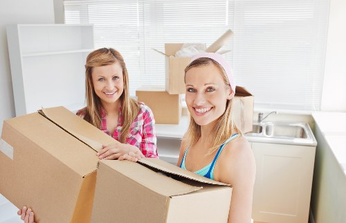 Man with a van helping with furniture and box transport
